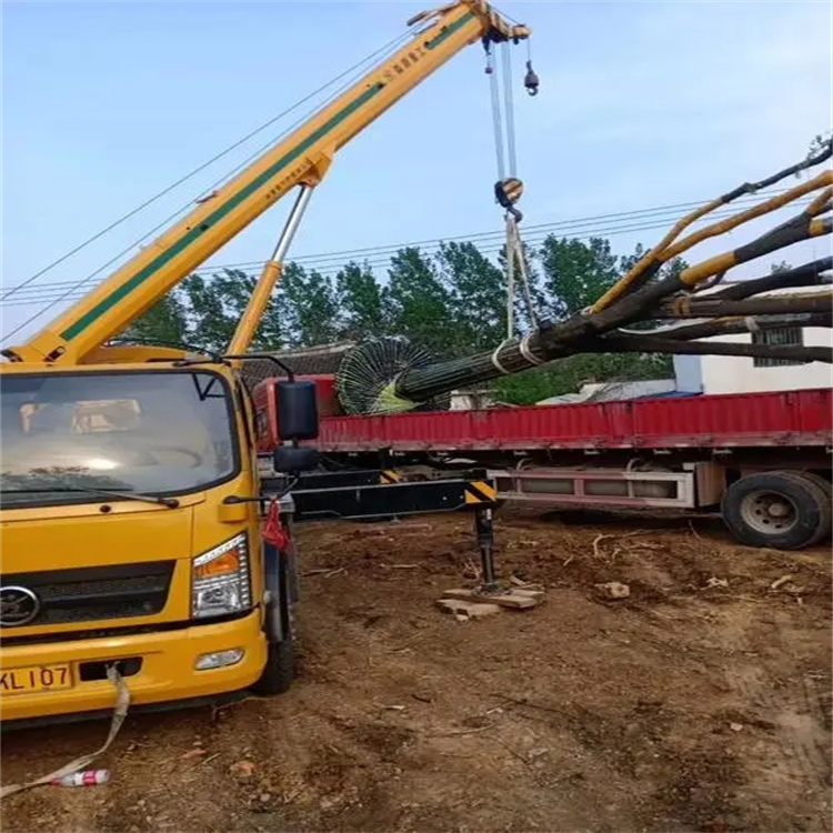 咸宁100吨吊车租赁费用怎么算？3大关键因素+省钱技巧全解析